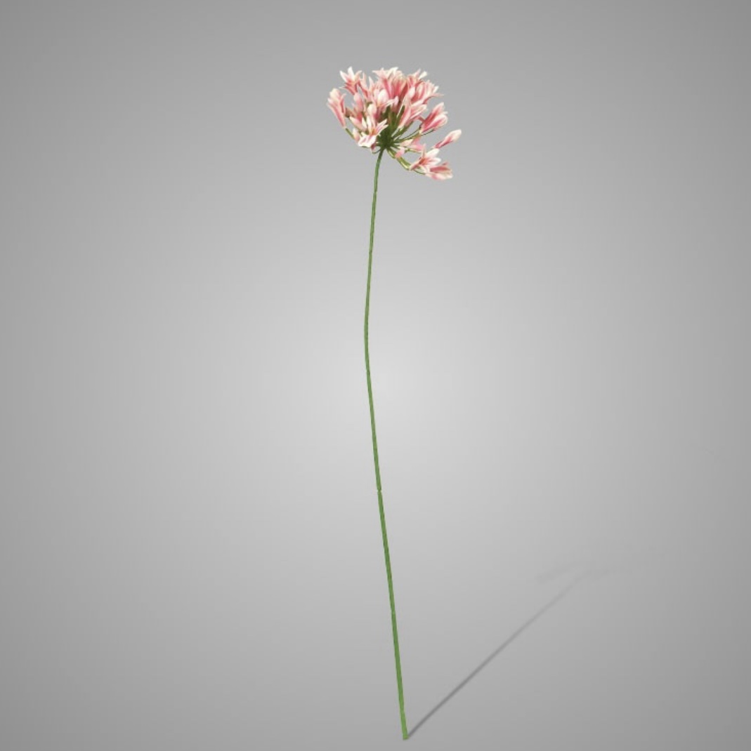 Brynxz Agapanthus Pink 75 cm