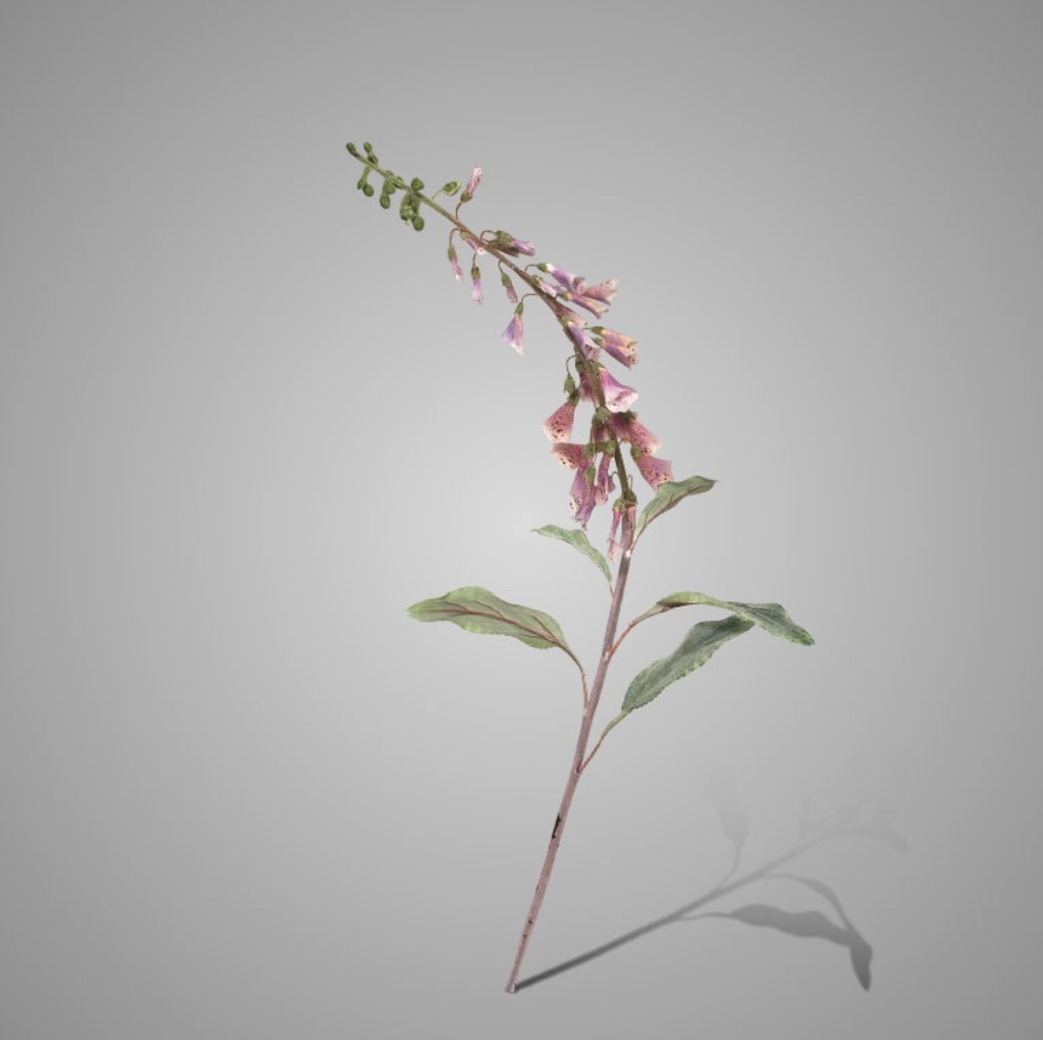 Brynxz Digitalis Grande Salmon 100cm