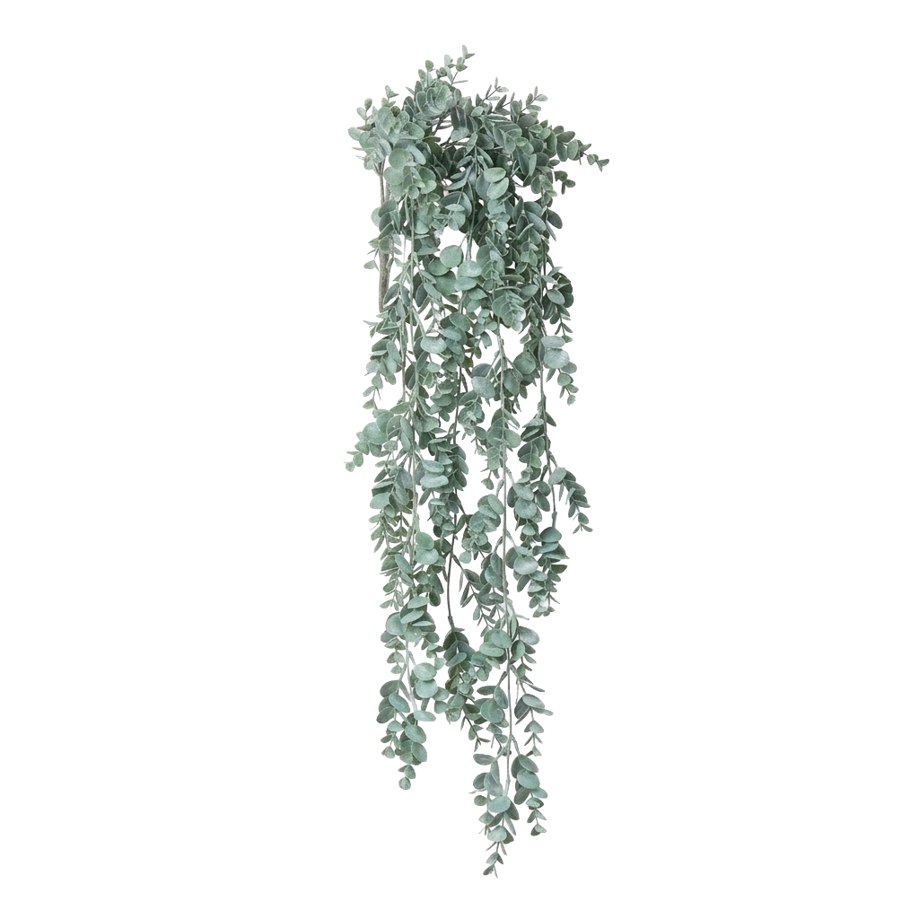 Eucalyptus hanger grijs