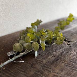 Eucalyptus Kunsttak - Afbeelding 2