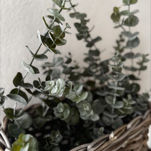 Eucalyptus Kunsttak