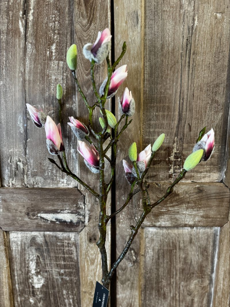 Magnolia kunsttak XL