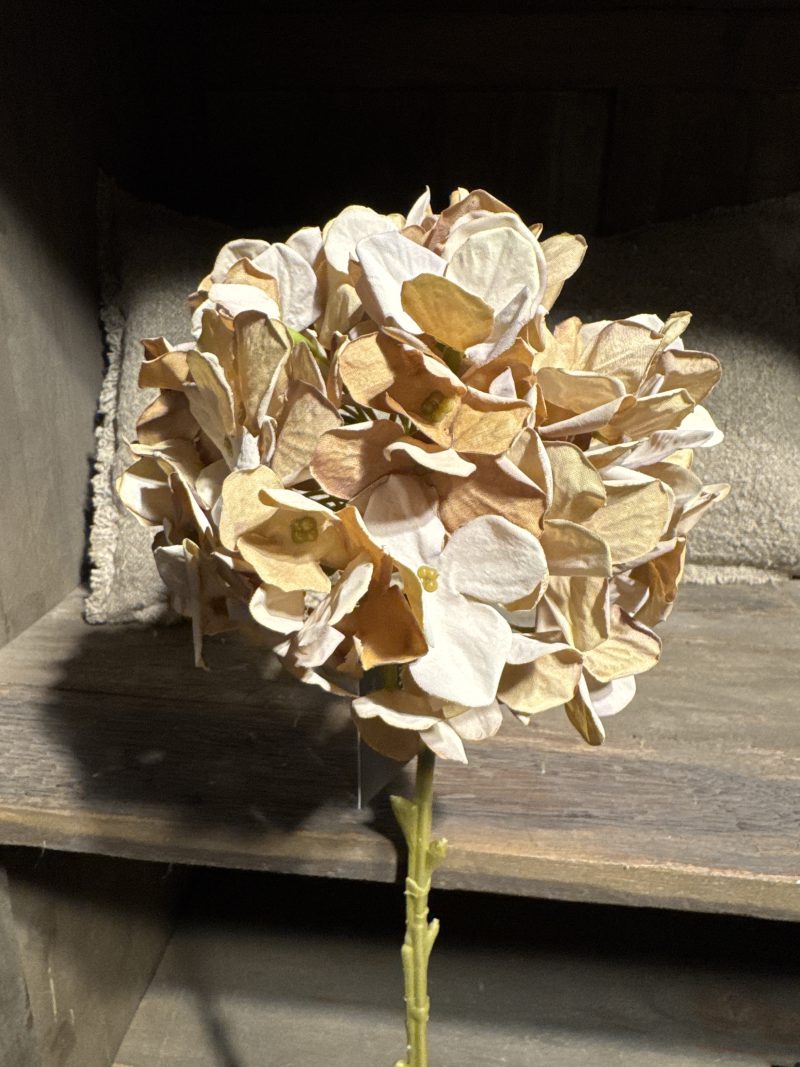 Hortensia Kunst