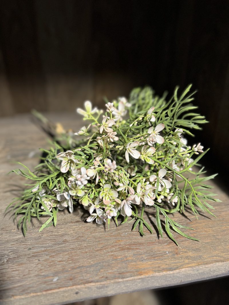 Kunst Brassica - Afbeelding 2