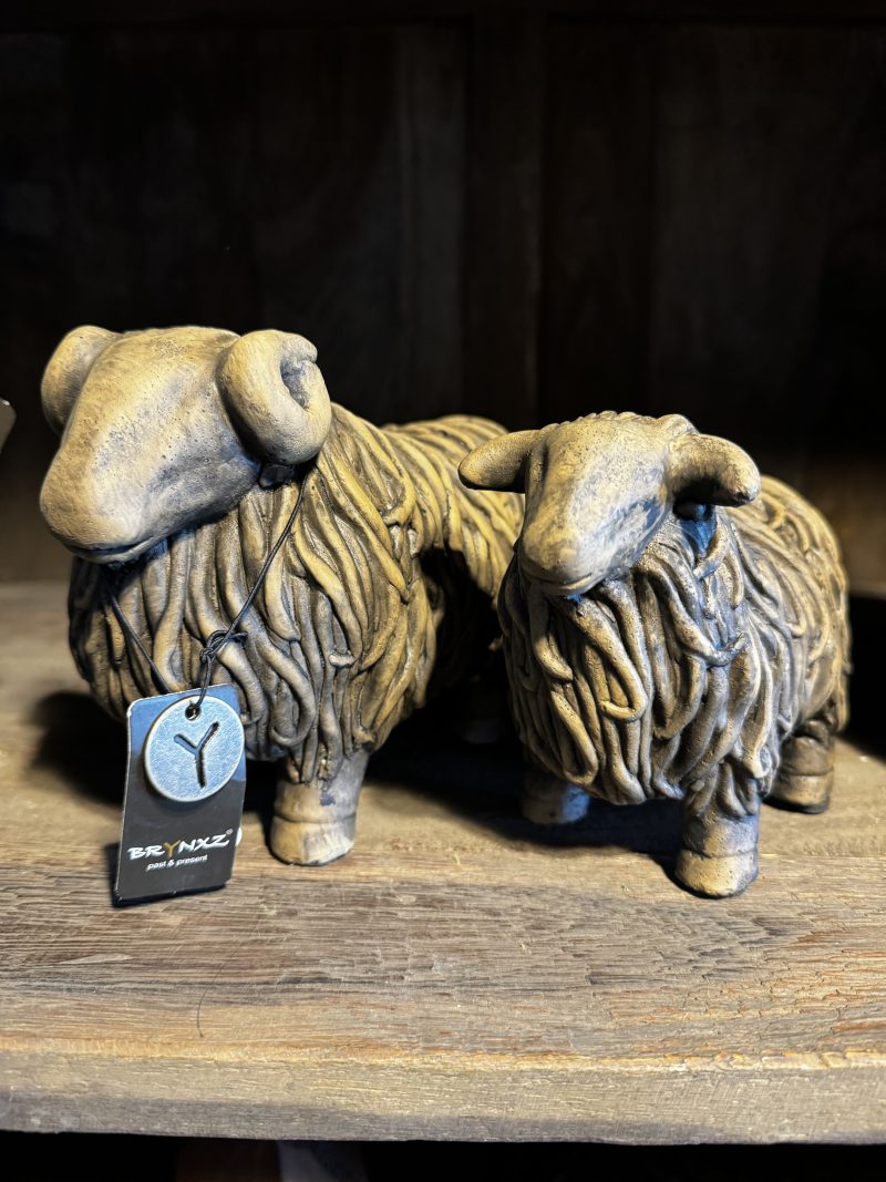 Set of 2 Hairy Sheep Majestic Brown Brynxz