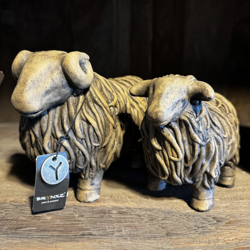 Set of 2 Hairy Sheep Majestic Brown Brynxz