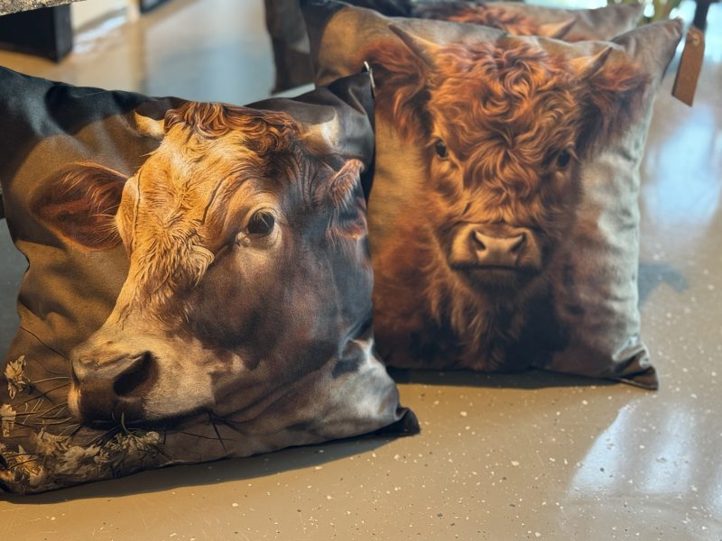 Velvet kussen met afbeelding.