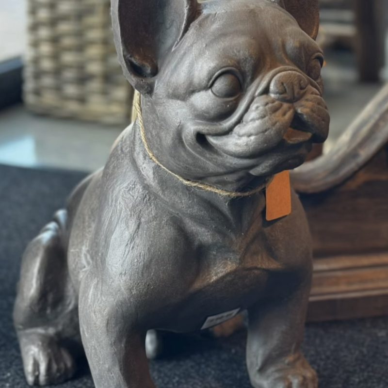 Franse Bulldog beeld groot