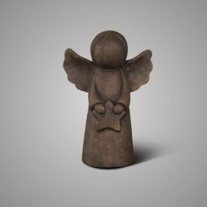 Brynxz Angel with star Majestic Brown L