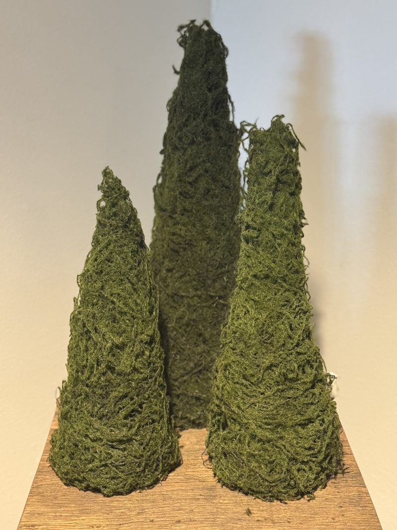 Kunst mos boompjes