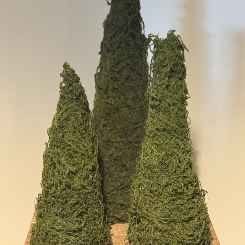 Kunst mos boompjes