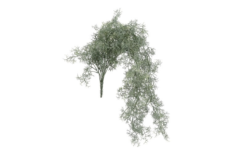 Tilandsia Kunsttoef Groen