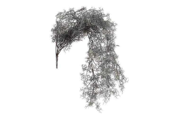 Tilandsia Kunsttoef Grijs
