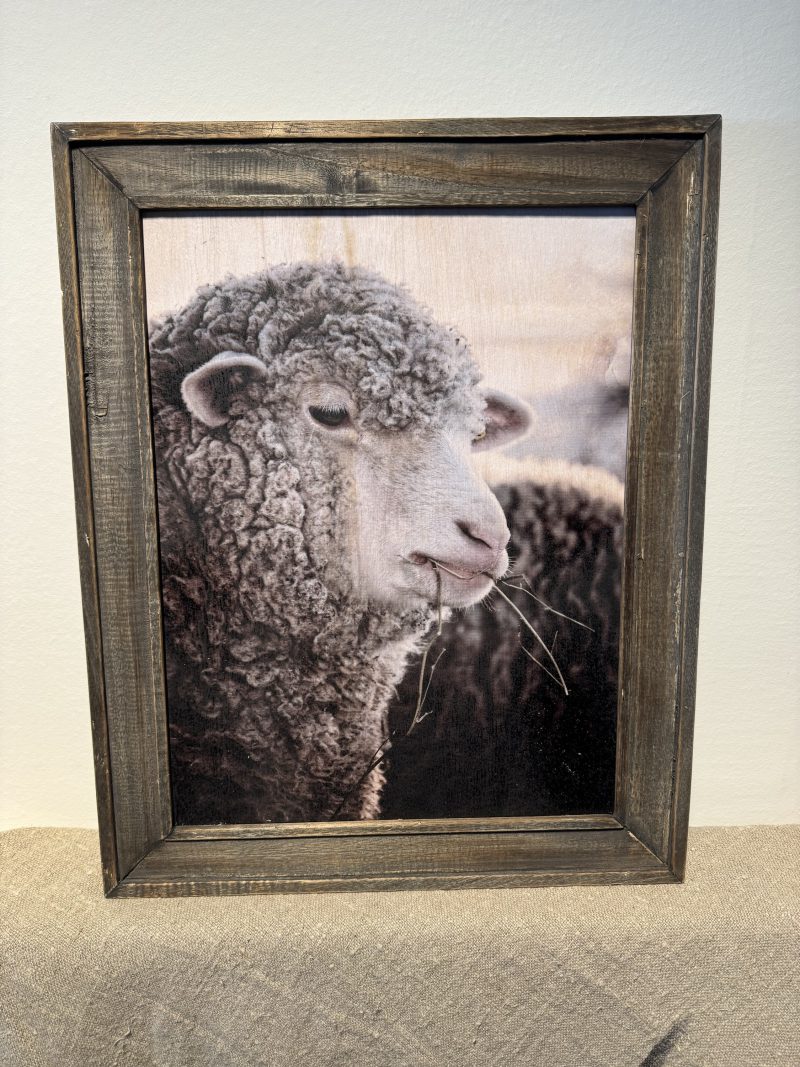 Houten lijst met afbeelding schaap