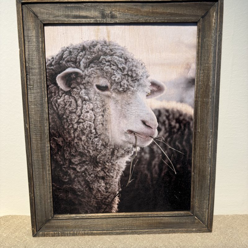 Houten lijst met afbeelding schaap
