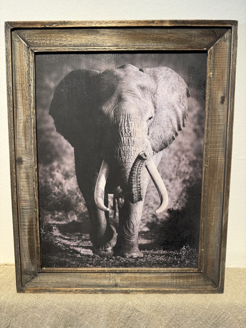 Houten lijst met afbeelding olifant