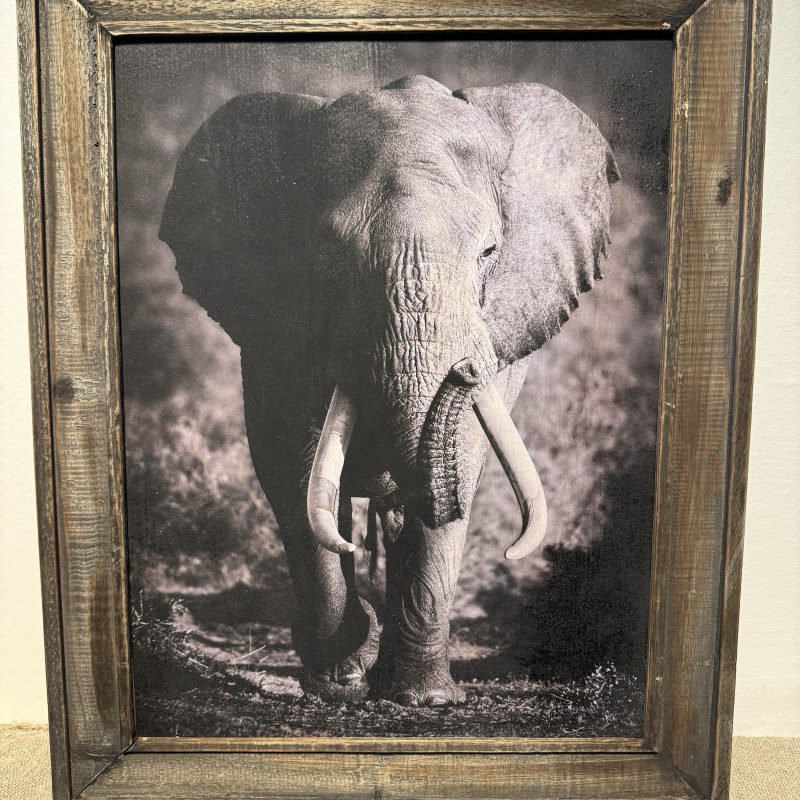 Houten lijst met afbeelding olifant