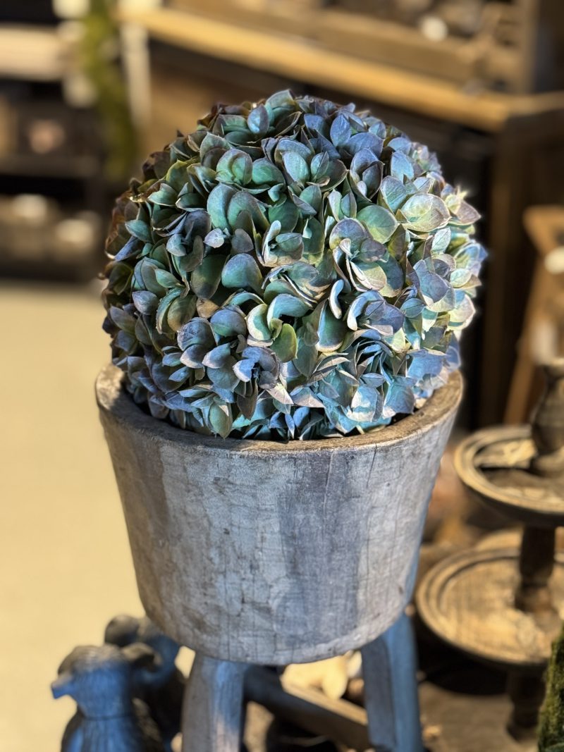 Kunst Eucalyptus bol L