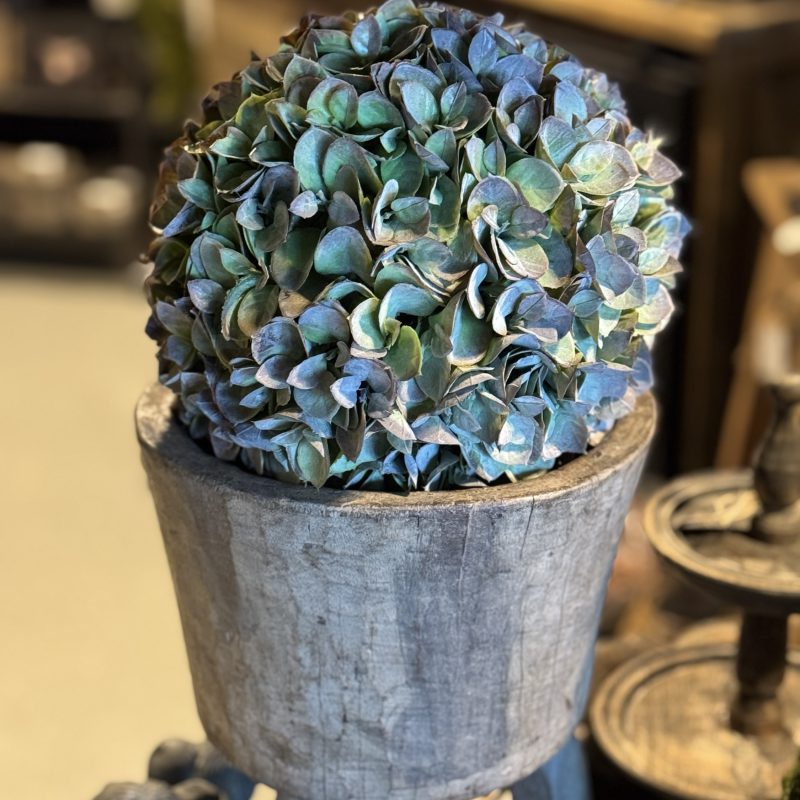 Kunst Eucalyptus bol L