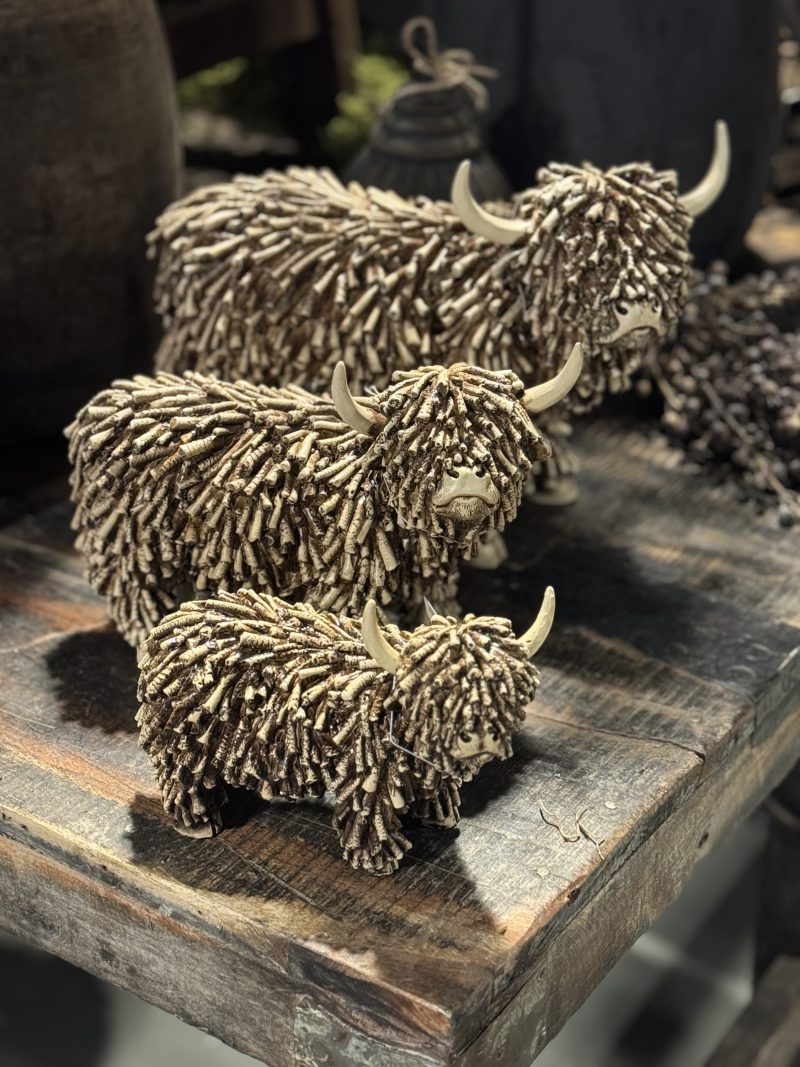 Schotse hooglander Countryfield - Afbeelding 2