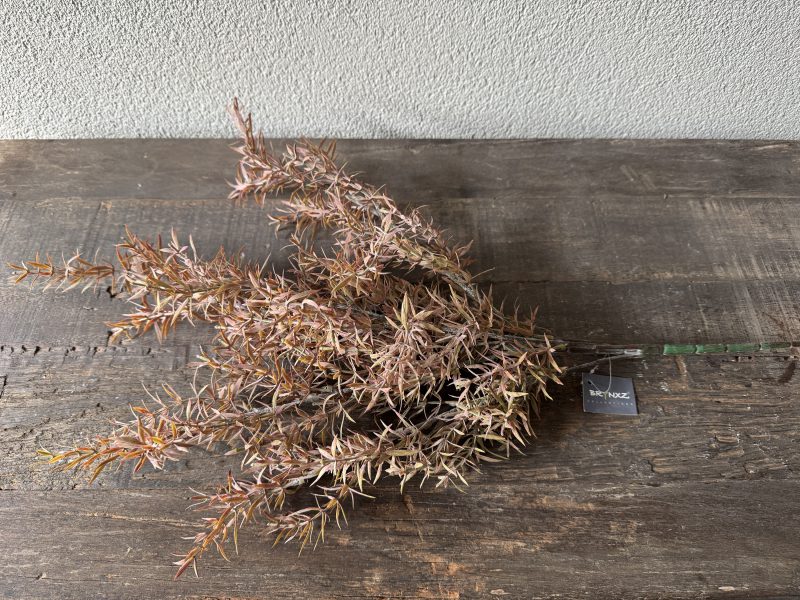 Brynxz Juniperus Bronze kunsttak - Afbeelding 2