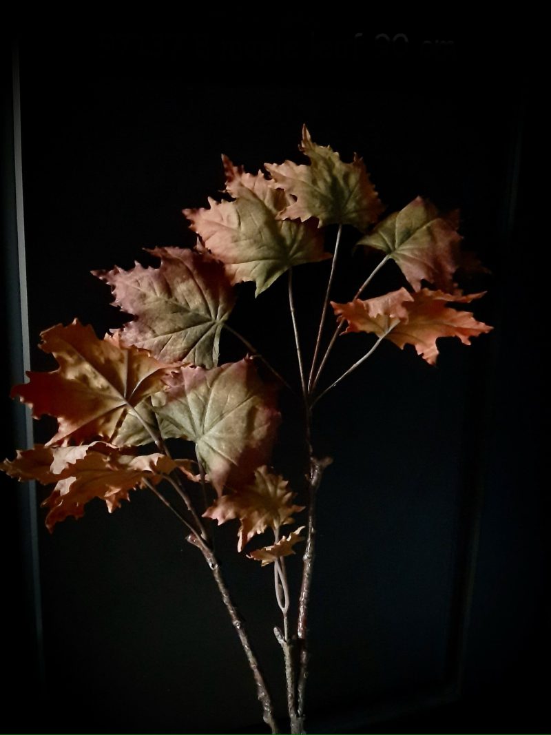Maple leaf brown/green