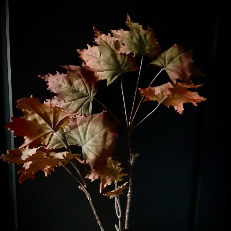 Maple leaf brown/green
