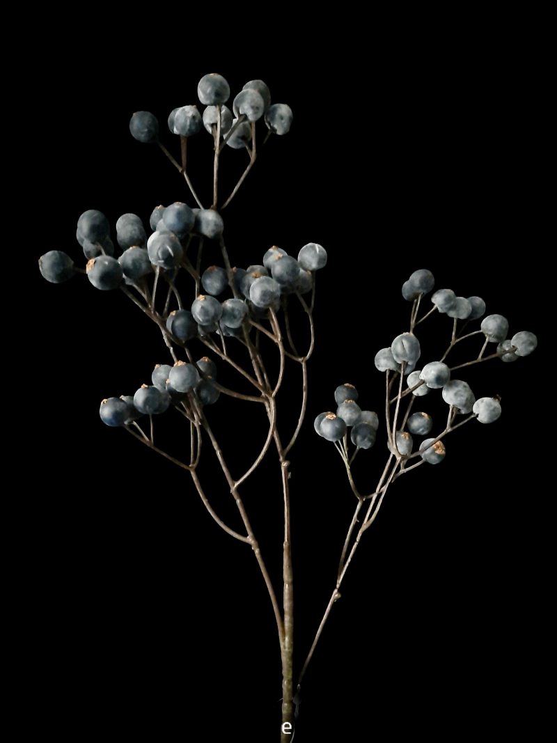 Blue Berry