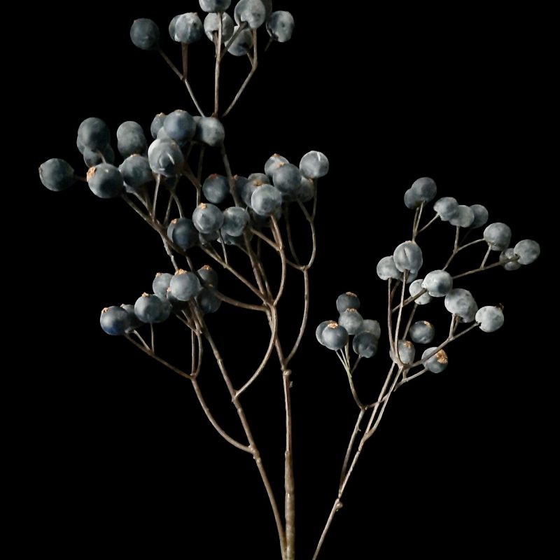 Blue Berry