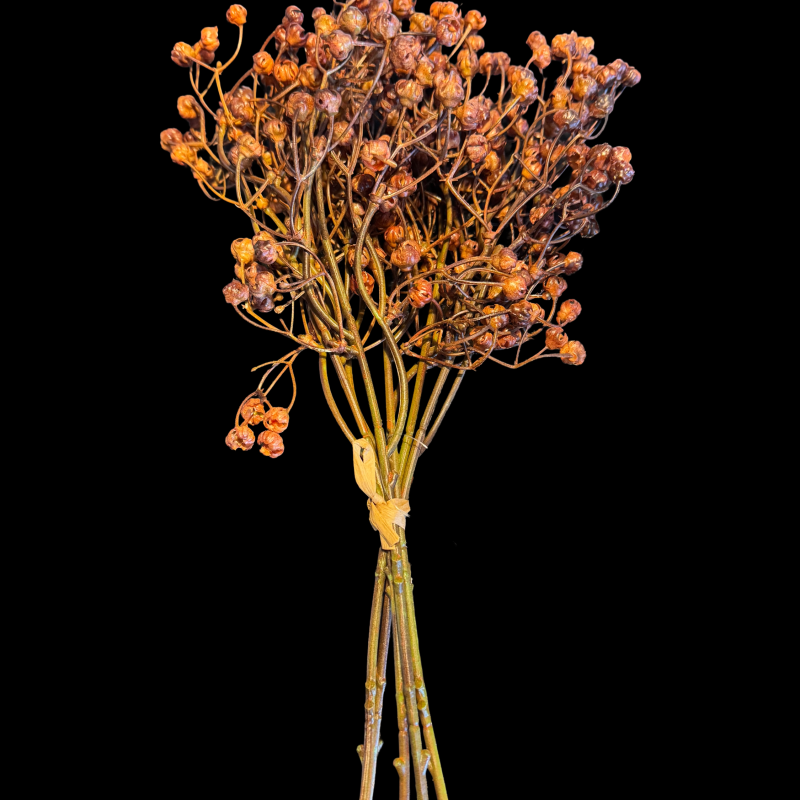 Kunstbundel Ilex Serrata Donkerbruin