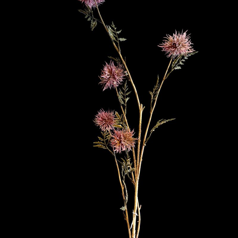 Brynxz Bohemian flower Spray Mauve