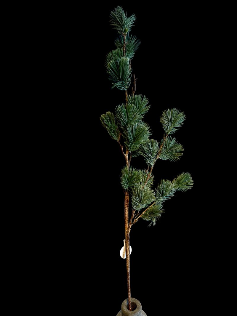 Larix tak real Touch