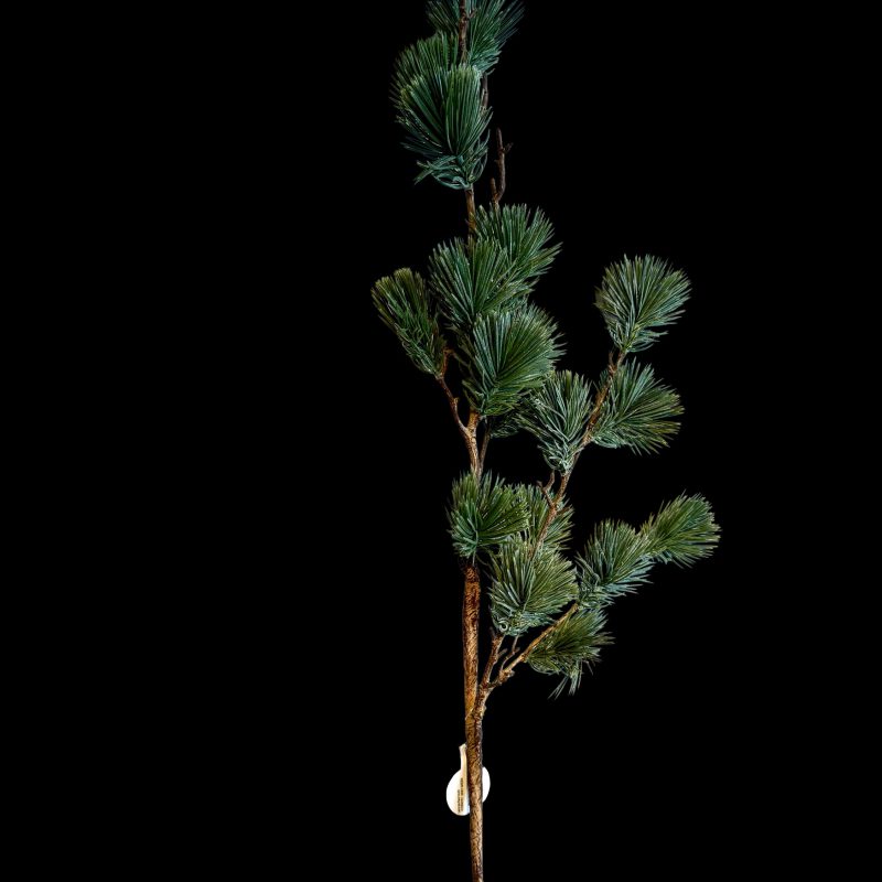 Larix tak real Touch