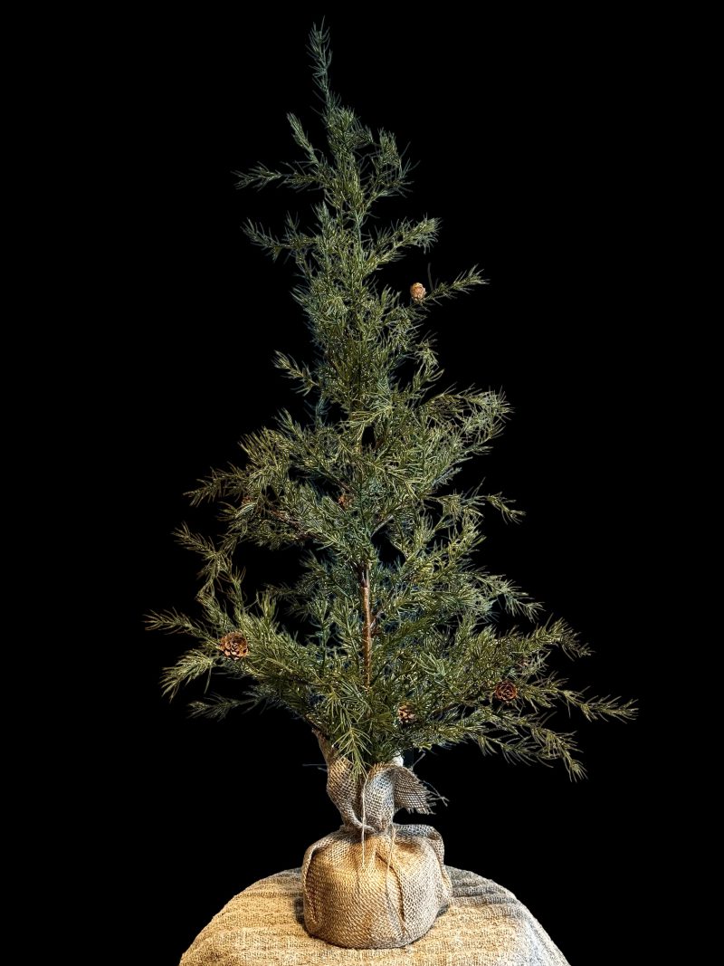Larix boom Diana S