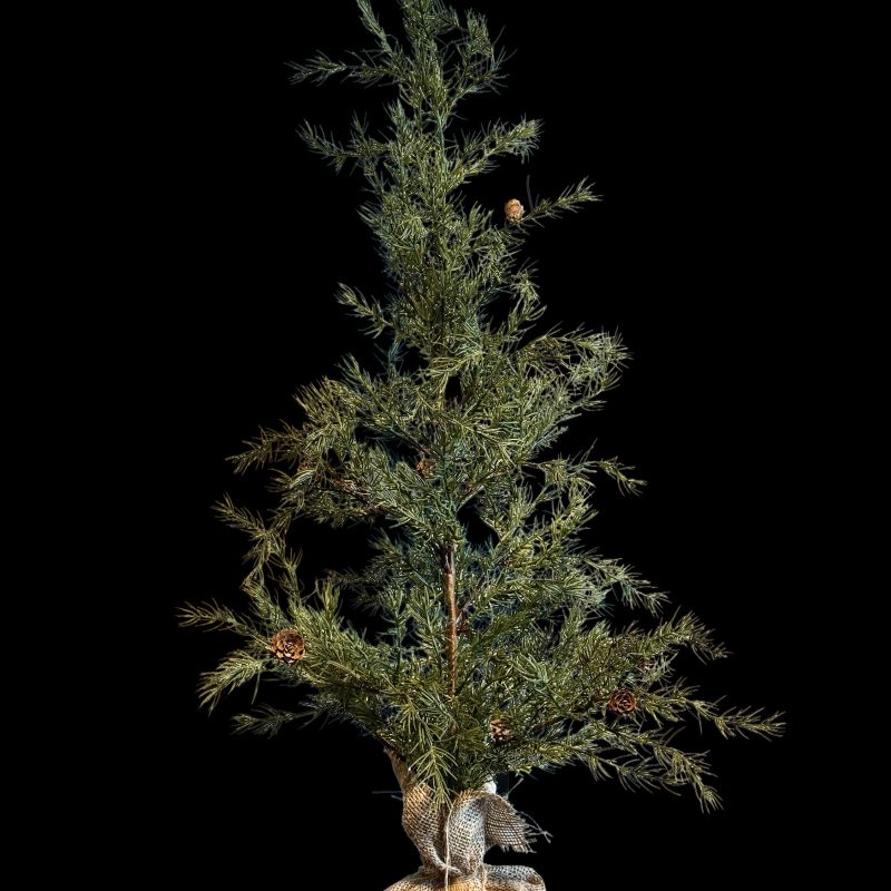Larix boom Diana S