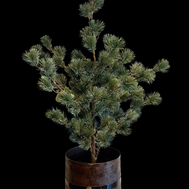 Larix boom S Real Touch