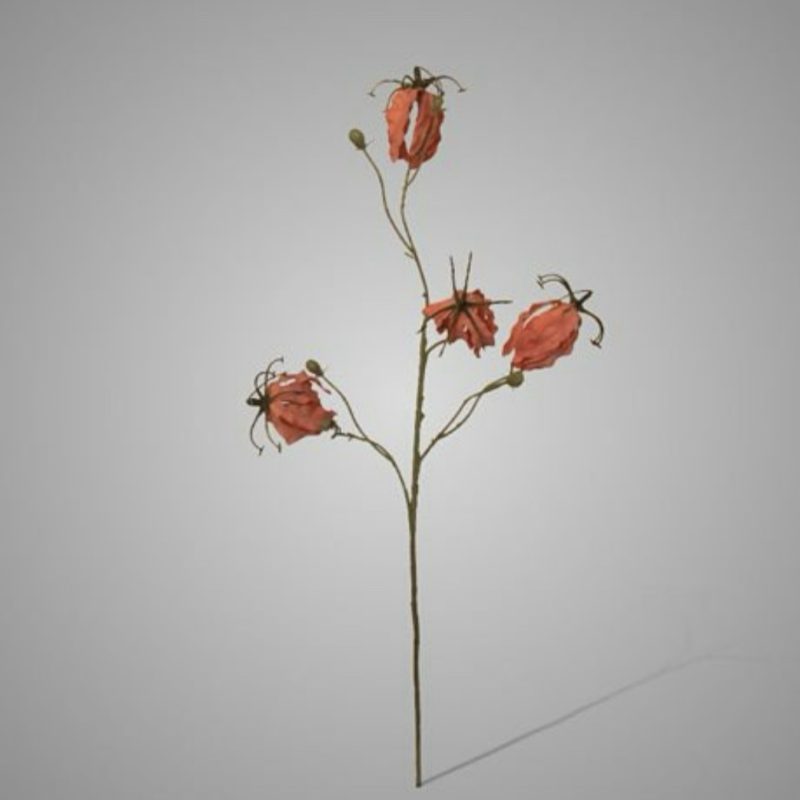 Brynxz Gloriosa Pink 80 cm