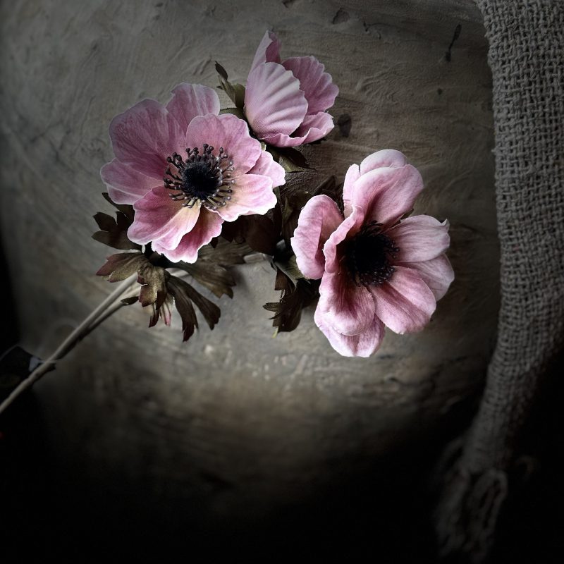 Anemone Autumn Pink 56
cm