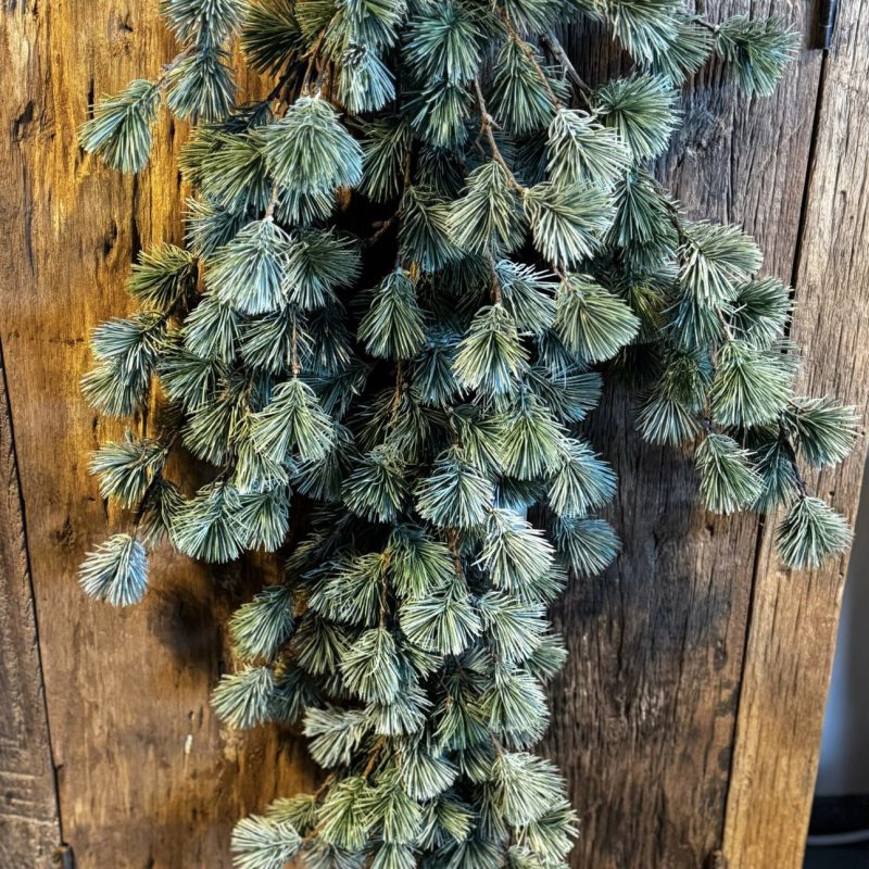 Larix Toef Real Touch