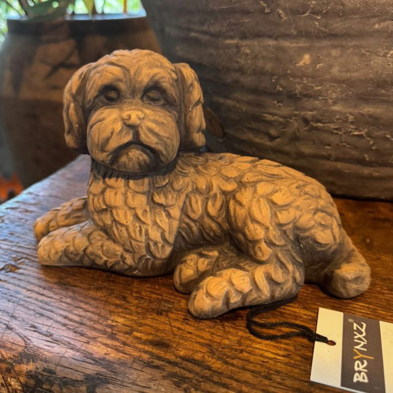 Brynxz Lying Dog Majestic Brown