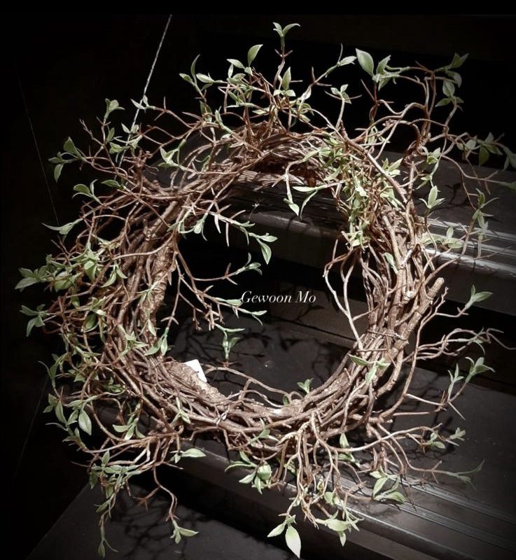 Mooie kunst Salix krans