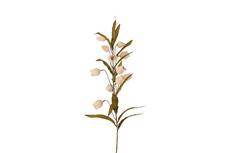 Kunst bloem Sandersonia Miranda Crème