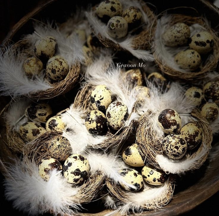 Vogelnestje met eitjes