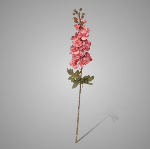 Brynxz Delphinium Ant. Pink 75 cm