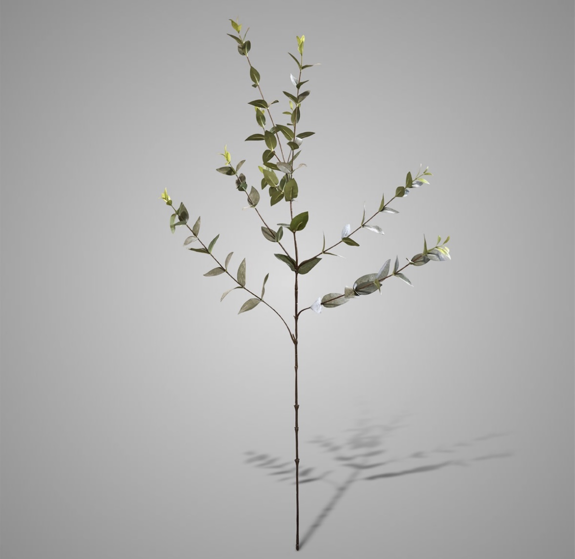 Sylxz Ligustrum Green/grey 100 cm