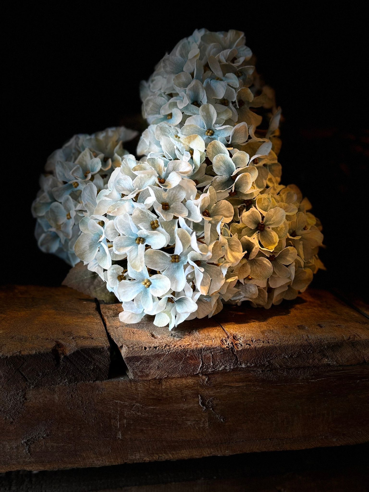 Kunst Hortensia