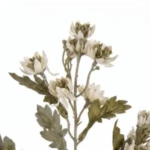 Kunstbloem Chrysanthenum White - Afbeelding 2