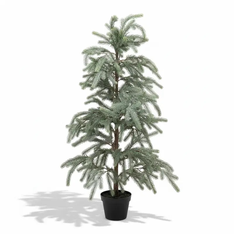 Blauwspar in pot S/M/L