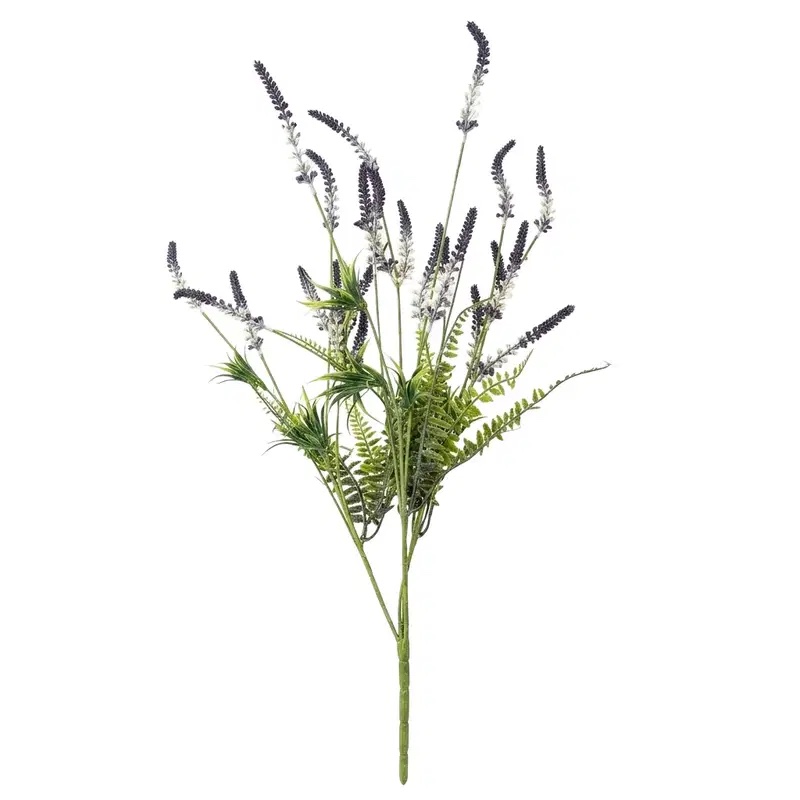 Kunst Lavendel Lavandula Angunstifolia