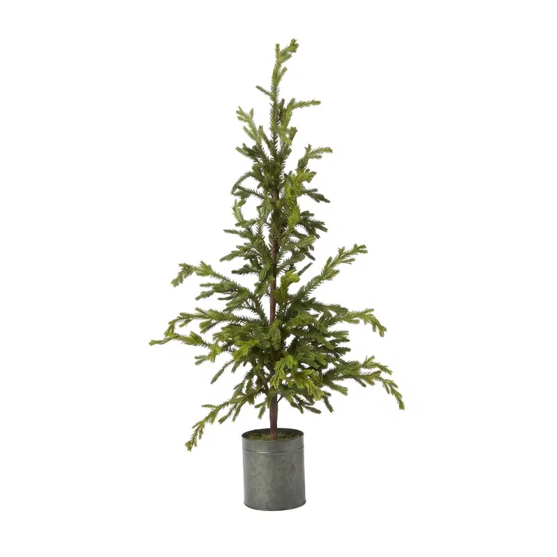 Picea in zinken pot - Afbeelding 2